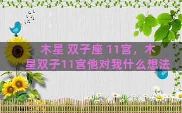 木星 双子座 11宫，木星双子11宫他对我什么想法